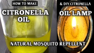 HOW TO MAKE CITRONELLA OIL LAMP  DIY CITRONELLA OIL  NATURAL MOSQUITO REPELLENT  NATURER [upl. by Felecia]