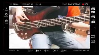 Kjarkas  Fria bass cover [upl. by Papagena]