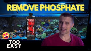 Brightwell PhosphateE to Remove Phosphates in a Reef Tank [upl. by Epotimet]