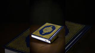 Moutasem AlHameedi Surah AlFurqan Ayat 2177 Heartfelt Recitation [upl. by Edlitam]