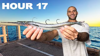 18 Hours Only Using Live Bait On A Pier [upl. by Eslehc]