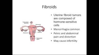 OBGYN Introduction [upl. by Rodolphe]