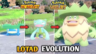 How To Evolve Lotad Into Lombre amp Ludicolo In Pokemon Scarlet amp Violet  The Teal Mask DLC [upl. by Anaeed146]