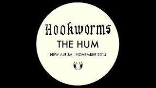 Hookworms  The Impasse Official Audio [upl. by Ecyar]