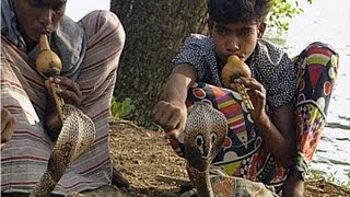 Young Serpent Enchanters of Sri Lanka 🪕🐍 [upl. by Nosned220]