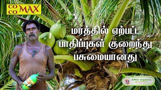 Tamil Coconut Online Farmer MrKaathalingam giving feedback about our Cocomax result [upl. by Dania]