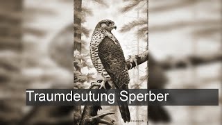 Sperber  TraumDeutung [upl. by Gibb]