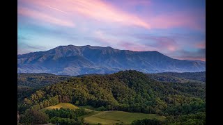 Black Bear Getaway  3 bedroom cabin in the heart of Pigeon Forge [upl. by Devitt766]