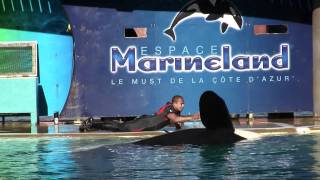 Marineland Antibes Orca Show 22 [upl. by Savell]