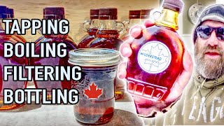 Making Maple Syrup At Home From Start To Finish  Every Step From Tap To Bottle  How To Make It [upl. by Zechariah]