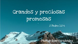 Grandes y preciosas promesas [upl. by Oidgime]