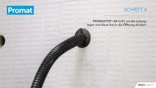 PROMASTOPIM CJ21 [upl. by Bernadette259]