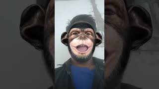 Monkey face music song badshah [upl. by Aprilette]