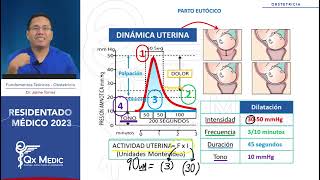 Obstetricia  3 Parto eutócio [upl. by Letizia]