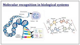 Supramolecular Chemistry  Molecular Receptors  III Sem MSc Pharmaceutical Chemistry  Malayalam [upl. by Cointon816]