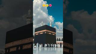 Allah 🤲😇🌺 Allah shorts 359 [upl. by Nnayr]