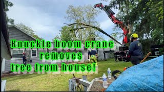 KNUCKLE BOOM CRANE removes tree from house arborist arboristlife [upl. by Aled]