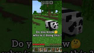 What Are You Doing Panda 🐼  Minecraft Techno Gamerz technology [upl. by Esila218]