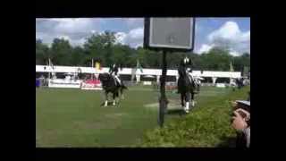 Dressuurstal Rongen Pavo Cup Borett wmv prijsuitreiking [upl. by Dola]