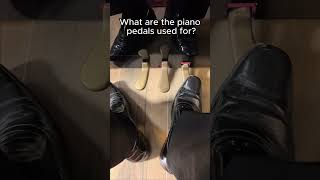 What Are The Piano Pedals Used For [upl. by Enahc633]