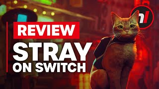 Stray Nintendo Switch Review  Is It Worth It [upl. by Siurtemed]