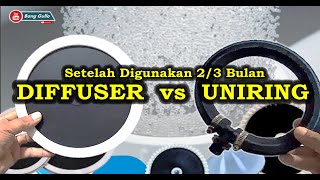 Diffuser VS Uniring Setelah Digunakan 2 sd 3 Bulan di Kolam Bioflok [upl. by Lienhard]