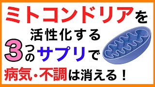 ミトコンドリアを活性化する３つのサプリで病気・不調は消える【栄養チャンネル・分子栄養学入門】ミトコンドリア活性化サプリ [upl. by Akimas877]