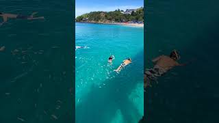 Crash Boat beach is amazing 😍🇵🇷Aguadilla Puerto Rico puertorico boricua [upl. by Leamaj727]