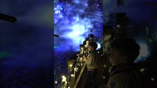 Light Up Hillier Gardens at Christmas in Romsey Highlights 2 [upl. by Ahsitnauq599]