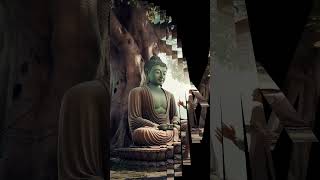 Buddha Khate Sab Ki Madad Karo motivation gautambuddha gautambuddh [upl. by Norted]