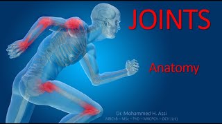 Joint Anatomy  Types of joints [upl. by Ayouqat]