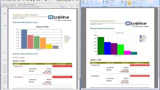 Compare Crystal and SSRS Side by Side [upl. by Eniaj]