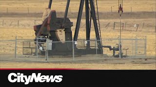 Albertas Premier says low oil prices could mean tough budget decisions [upl. by Snow]