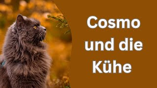 Cosmo und die Kühe inkl Bonus Material [upl. by Anawk]