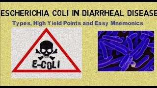 Escherichia coli E coli in Diarrheal Disease Types High Yield Points amp Mnemonics [upl. by Amin]