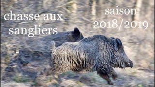 🐗battue 20182019🐗chasse sanglier en tunisie part 3 wild boar huntingصيد الخنزير البري [upl. by Shute]