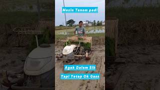 Alat Tanam Padi Transplanter AP4 Yanmar [upl. by Arri]