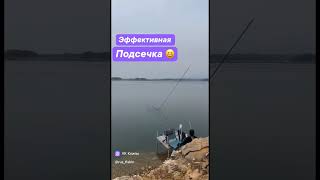 😂 fishing carp рыбалка carpfishing рыбалка2024 карп рек carps bassfishing carpfishinglife [upl. by Kanal]