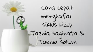 Cara cepat menghafal siklus hidup Taenia saginata amp Taenia solium [upl. by Dnamra358]