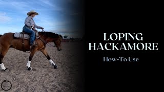 How I use a Loping Hackamore [upl. by Angel822]