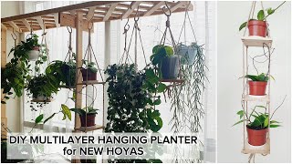 DIY Hoya Multilayer Hanging Planter  NEW HOYAS in my Garden [upl. by Suu]