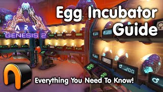 ARK Egg Incubator Guide And How To Use It ARK [upl. by Angus304]