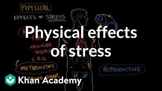 Physical effects of stress  Processing the Environment  MCAT  Khan Academy [upl. by Leffert]