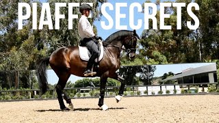 HOW TO TRAIN PIAFFE three secrets [upl. by Epilef913]