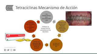 Antibióticos betalactámicos Penicilinas y cefalosparinas [upl. by Manwell]