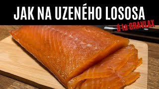 JAK NA UZENÉHO LOSOSA á la GRAVLAX  Uzení studeným kouřem  Z UDÍRNY 23 [upl. by Norahs]