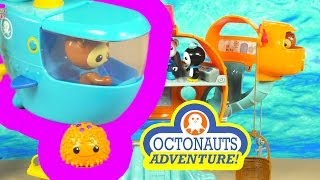 The Octonauts Adventure Shellington and the Sea Urchin [upl. by Charmaine]