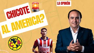 CHICOTE CALDERÓN al AMÉRICA  LO ÚLTIMO EN EL FÚTBOL DE ESTUFA  OPINIÓN DAVID MEDRANO [upl. by Allcot]