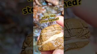 wtf is that Searching rare Stones Relaxing Nature River Water🌊 walk with my Dog nature asmr [upl. by Greysun]