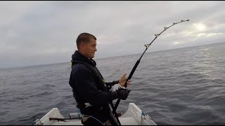 Two Bluefin Tuna Caught Solo on a 16ft Boat in the UK  Cornwall Sea Fishing  The Fish Locker [upl. by Duffie693]